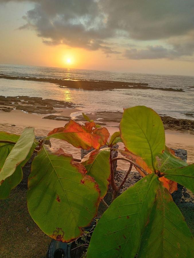 Pousada Tropicalia Tranquilidade A Beira Mar Santa Cruz Cabrália Exteriér fotografie